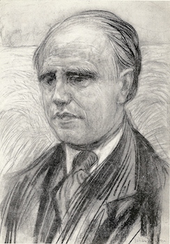 Ploeg Willem de Merode door Johan Dijkstra
