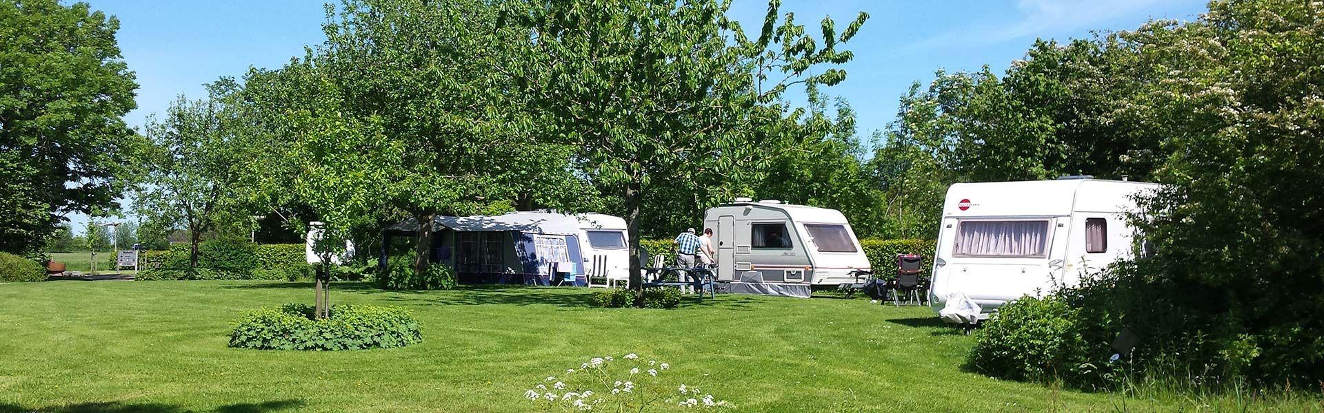 Camping Lentemaheerd — photo 3