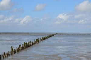 Waddengebied Groningen